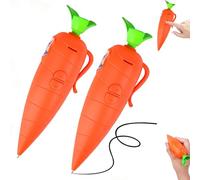 Ruichi 2pcs Carrot Recorder Pen Toy, Carrot Pen, 60-Second Cute Carrots Pens Voice Recorders Device with Playback, Writing Ballpoint Pens, Fun Creative Gift for Kids Students Teachers