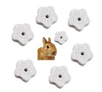 RUIENGCOMM 6Pcs Toys Hamster Stone Rabbits Lava Blocks Small Pets Teeth Grinder Teeth Molar Toy Accessory for Parrot Rabbit Hamster Rat Chinchilla