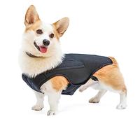 RUIFAR IVDD Back Brace for Dogs, Flexible Pet Dachshund Back Supporting Vest, Dog Back Bracer for Small Pet with Arthritis, Back Pain,Herniated Disc,Spinal Surgical Recovery (S)