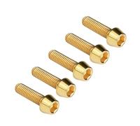 Ruifu 5PCS Titanium Bolt M5x10/16/18/20/25/30/35/40/45/50/55/60/65mm Allen Cone Head Screws for Bicycles (Gold, M6x18mm)