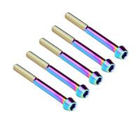 Ruifu 5PCS Titanium Bolt M5x10/16/18/20/25/30/35/40/45/50/55/60/65mm Allen Cone Head Screws for Bicycles (Rainbow, M6x45mm)