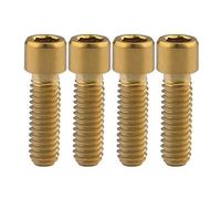 Ruifu M4x10 13.5 15 20 25mm Small Allen Head Cap Bolt Bicycle Rear/front Derailleur H/L Adjustment Screws Pack of 4 (M4x13.5mm, Gold)