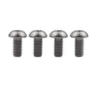 Ruifu M5 Titanium Gr5 Allen Button cap Screws Bolts 8 10 12 mm for Bicycle Water Bottle Cage (Pack of 4) (M5x10 mm)