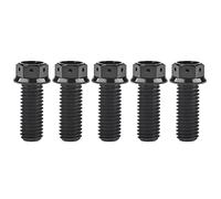 Ruifu Titanium M6 M8 M10 10 15 20 25 30 35 40 45 50 55 60 65 70 75 80 85 90mm Flange Allen Key Head Bicycle Bolts Screws Pack of 5 (Black, M8x25mm)