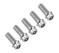 Ruifu Titanium M6 M8 M10 10 15 20 25 30 35 40 45 50 55 60 65 70 75 80 85 90mm Flange Allen Key Head Bicycle Bolts Screws Pack of 5 (Titanium, M10x30mm Pitch1.25)