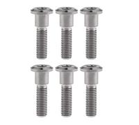 Ruifu Titanium M8 Disc Brake Rotor Gr5 Ti Bolts Screws 20 22 30 33 mm for Motorcycle Yamaha Suzuki (Pack of 6) (Titanium, M8x33mm)