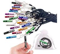 Ruilidesg Emergency Whistle Keychain with Lanyard - Engraving Text - Lifeguard Rescue Signal Tool - Loud High- Dog Whistle for Outdoor,Camping, Hiking