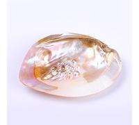Ruilong Natural Fresh Water Pearl Oyster Clam Shell Burnish Smoothly for Jewelry Crafts (Type A)