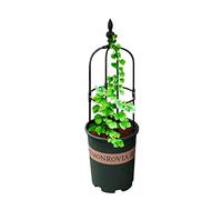 Ruilonghai Metal Garden Obelisk, Climbing Trellis Flower Support With Rings Hoops, Plant Climbing Support Shelf for Garden, Tomato