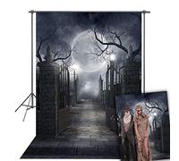 RUINI Halloween Theme Backdrop Halloween Full Moon Haunted House Backdrop Photo Props 7x5FT
