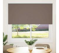 RuiNingRN Blackout roller blind, coffee brown, 165 x 175 cm, fabric width 161.6 cm with clamping brackets, opaque, sun protection, window, bedroom, office, children's room, thermal, heat and cold
