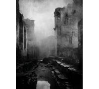 Ruins and Reflections: A Minimalist Journal in Monochrome Silence