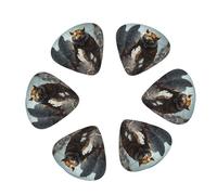 Ruins Tiger Warrior 12 Pack Guitar Picks Plectrums with Organizer Storage Box, Guitar Picks for Bass Electric Acoustic Guitars Ukulele