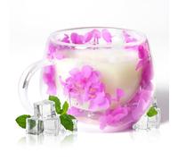 RUIOMII 300ml Dried Flower Tea Cup, Double Walled Glass Coffee Mugs with Handle, Ideas Gift for Women Sister Mum Wife Teacher