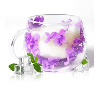 RUIOMII 300ml Dried Flower Tea Cup, Double Walled Glass Coffee Mugs with Handle, Ideas Gift for Women Sister Mum Wife Teacher