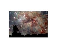 RUIQIU Bojack Horseman Poster The Greatest Cartoon Canvas Poster Wall Art Print Gift Picture Painting Posters Artwork Home Decor framed-unframed 24x36inch(60x90cm)