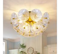 RuiRfh Ceiling lamp Modern Glass lampshade Dining Table Lighting Fixture Elegant Decoration Iron Chandelier Suitable for Living Room Bedroom Foyer Kitchen Cafe bar Retro Ceiling Light