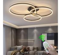 RuiRfh Modern Living Room Ceiling Lamp With Remote Control Dimmable Ceiling Lighting High Brightness Acrylic Lampshade 3 Rings Chic Aluminum Ceiling Light Bedroom Kitchen Restaurant(50cm+40cm+30cm)