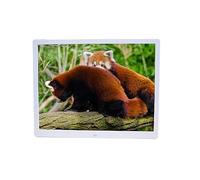 RUIRUME Digital photo frame 15-inch display USB and SD card slots and remote control Photos Music Video support (Color : White)