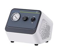 Ruiseawing Lab Vacuum Pump, Portable Oilless Diaphragm Filtration, Max Vacuum 0.09 MPa, Positive Pressure 40 Psi, Pumping Speed 15 L/min; 20 L/min Optional, for Laboratory