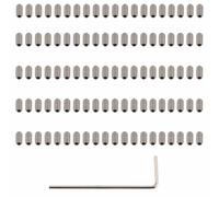 Ruiwaer 100PCS Guitar Bridge Saddle Height Adjustment Screws Stainless Steel With Hexagon Socket Wrenches Silver M3x6 For Various Vintage And Modern Models