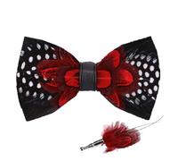 RUIXIA Handmade Feather Bow Tie & Lapel Pin Set for Men, Pre-Tied Bowtie with Brooch for Weddings, Proms, Parties & Formal Events, Gentleman’s Accessory