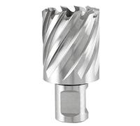 Ruko TERRAX 108232TX - Hollow Bit - HSS Weldon Shank - Cutting Depth 30 mm (Ø 32 mm)