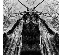 Rulaman - To Serve The Dune