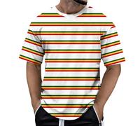RUMAOZIA Men's Rainbow T-Shirt Men's Striped Round Neck Basic Top Stranger Costume Strifen Colourful Flag LGBTQ Gay Pride Vintage Tee Shirt Summer Cotton Top Summer Shirt, X White, 3XL