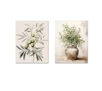 Rumlly 2pcs/set Vintage Watercolor Olive Branch Wall Art Print Poster Antique Boho Botanical Canvas Painting Spring Home Decor(40x50cmx2/Canvas Wrapped)