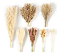 RumonZS 172PCS Dried Natural Pampas Grass Plant with Bunny Tails Fluffy Pampas Flowers Bouquet Table Decor for living room bedroom Wedding Birthday Party Decoration 50CM