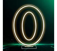 RumonZS LED Acrylic Light up Number, Decorative Transparent Light up Letters USB Powered Number Sign Light for Birthday, Night Light, Party, Anniversary, Home Decor, Wedding 11.8'' (number6)