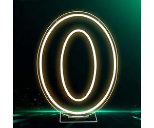 RumonZS LED Acrylic Light up Number, Decorative Transparent Light up Letters USB Powered Number Sign Light for Birthday, Night Light, Party, Anniversary, Home Decor, Wedding 11.8'' (number6)