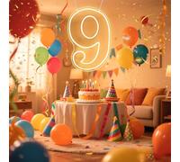 RUMONZS Light up Number 9 Neon Sign LED Acrylic Nine Neon Light by USB Powered with Chain Warm White Number 9 Light for Birthday Anniversary Party Decoration Light