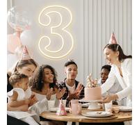RUMONZS Number 3 LED Acrylic Light up Decorative Transparent Neon Light by USB Powered Number Sign Light for Birthday Night Light Party Anniversary Christmas Home Decor Wedding 16.5''