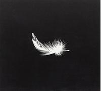 Rumours About Angels - Birth Process