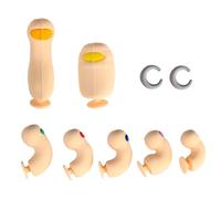 Rumyve 1set DIY Mini 3D Stereoscopic Toe,Cute Hilarious Realistic Toes Charms,Funny Toe Shoe Charms Accessories for Adults Kids Party Birthday Gifts