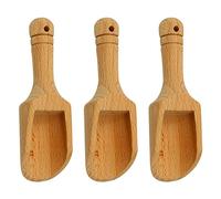 Rumyve 3-Pcs Mini Wooden Salt Spoons - Natural Spoons for Candy, Honey, Spices, Sugar, and Tea Powder