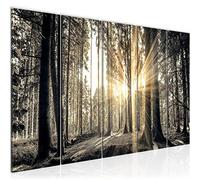 Runa Art Canvas Picture XXL Forest Landscape 200 x 80 cm Gray Brown 5 Parts - Made in Germany - 503855a