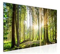 Runa Art Canvas Picture XXL Forest Landscape 200 x 80 cm Green 5 Parts - Made in Germany - 503855b