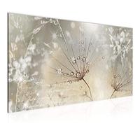 Runa Art Canvas Wall Art Flower Dandelion 1 Part Non-woven Canvas Prints for Living Room and Bedroom Grasses 205512a