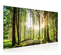 Runa Art Canvas Wall Art Forest Landscape 1 Part Non-woven Canvas Prints for Living Room and Bedroom Sun Green 503812b