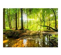 Runa Art Photo Wallpaper Forest Bach Modern Non-Woven Living Room Bedroom Wall Decoration - Made in Germany - Green Brown 9141010a