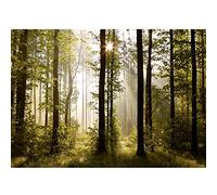 Runa Art Photo Wallpaper Forest Landscape Sun 352 x 250 cm Non-Woven Wall Art XXL Moderne Living Room Bedroom Green Brown 9010011a
