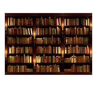 Runa Art Photo Wallpaper Library Modern Non-Woven Living Room Bedroom Wall Decoration - Made in Germany - Brown 9058010a