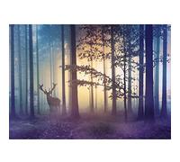 Runa Art Photo Wallpaper Wald Hirsch Fog Modern Non-Woven Living Room Bedroom Wall Decoration - Made in Germany - Yellow Blue 9338010a