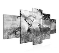 Runa Art - Pictures Deer Nature 200 X 100 cm 5 Pieces XXL Images Design Black-and-White 011451c