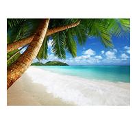 Runa Art Wallpaper 396 x 280 cm Beach and sea Palm Trees Non-Woven Decoration Print Wall Mural Living Room - Made in Germany - Green Blue 9004012b