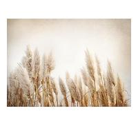 Runa Art Wallpaper 396 x 280 cm Boho Pampas Grass Non-Woven Decoration Print Wall Mural Living Room - Made in Germany - Beige 9583012a