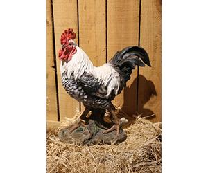 RUNADI Hi- Line Gift 87961-WT Black/White Rooster Statue